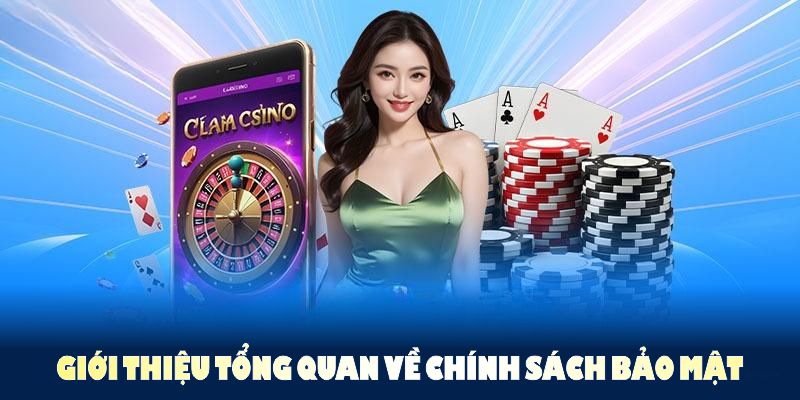 Giới thiệu tổng quan về chính sách bảo mật 79King dành cho người mới